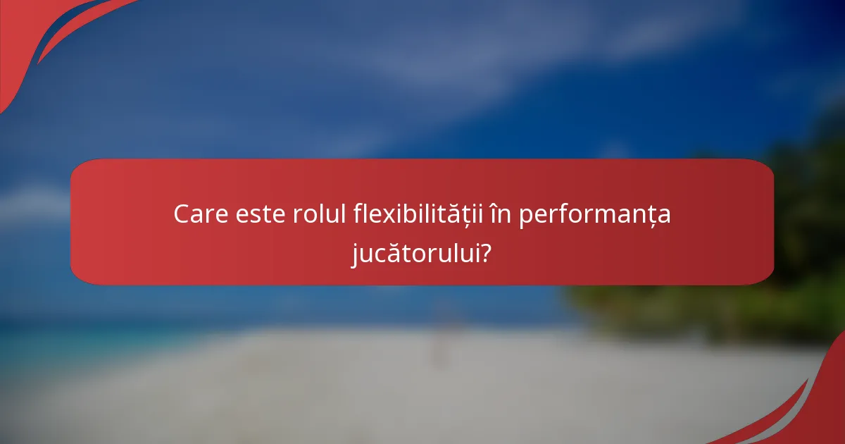 Care este rolul flexibilității în performanța jucătorului?
