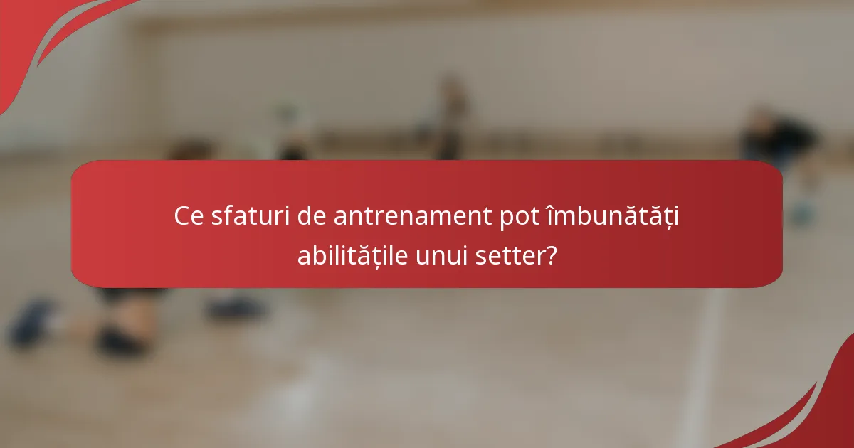 Ce sfaturi de antrenament pot îmbunătăți abilitățile unui setter?