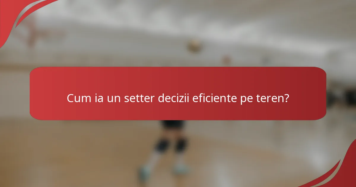 Cum ia un setter decizii eficiente pe teren?