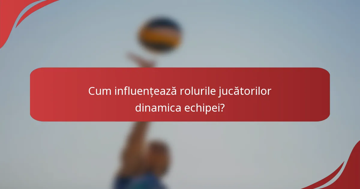 Cum influențează rolurile jucătorilor dinamica echipei?